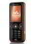 imagen del Sony Ericsson W610