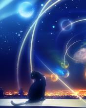 Gato y universo