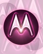 Motorola Pink