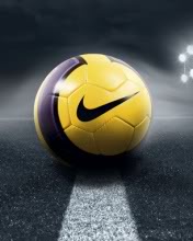 Balón marca Nike