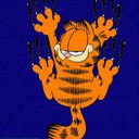 Garfield aruñando la Pared