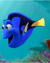 Pes azul de Nemo