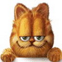 Cara de Garfield