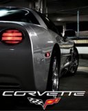 Corvette Gris