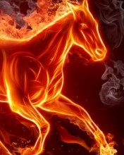 Horse fire