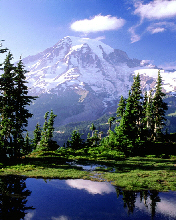 Mount Rainier parque nacional de Washington