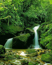 Cascada de río tropical