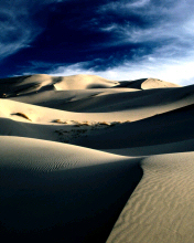 Windswept Dunes