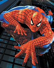 Spider Man escalando edificio
