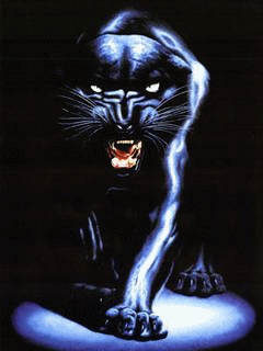 Terror 5
