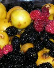 Muchas frutas