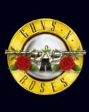Guns N Roses cello
