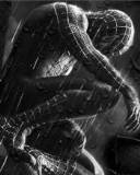 Spider Man de negro
