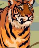 Dibujo de un tigre