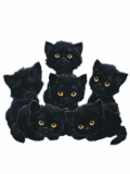 Muchos gatitos negros