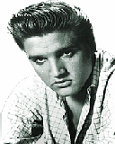 Elvis El rey