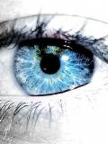 Close up de ojo Azul con Pestañas Negras