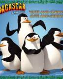 Cuatro pingüinos de Madagascar