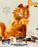 Garfield nos muestra sus fotos