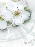 Flores Blancas con Pistilos