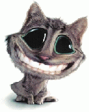 Gatico sonriente muestra su Dentadura