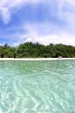Playa tropical para celulares
