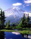 Mount Rainier parque nacional de Washington