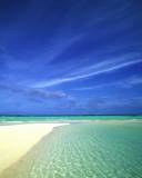 Una Playa con cielo Azul y Aguas Cristalina