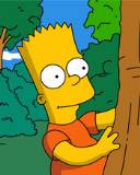 Bart Simpson en el campo
