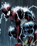The Spiderman Bajo Lluvia Intensa