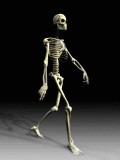 Esqueleto caminando