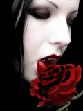 Vampiresa mordiendo una Rosa