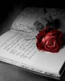 Rosa roja sobre un libro