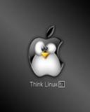 Pinguinito de Linux dentro de manzana