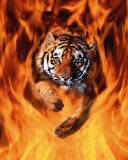 Tigre saliendo del fuego
