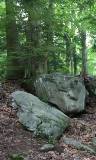 Piedras en un bosque