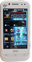 ZTE U900
