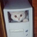 Gato dentro de una PC