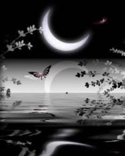 Luna de noche