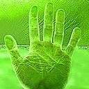 Mano Verde