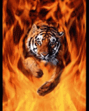 Tigre saltando entre las llamas