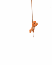 Monito en una cuerda