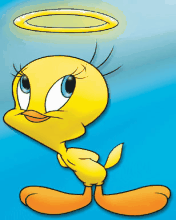Tweety4