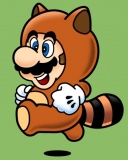 Mario racoon