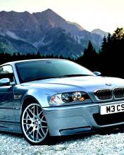 BMW en el campo