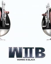 WIIB