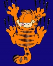 Garfield