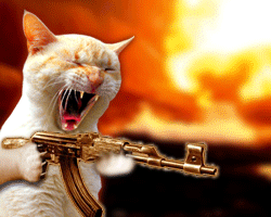 Catstrike 3ixzqk6f