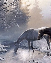 River and horse