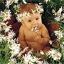Bebé rodeado de Flores